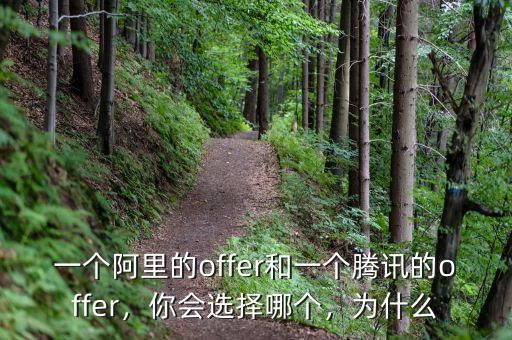 一個阿里的offer和一個騰訊的offer，你會選擇哪個，為什么