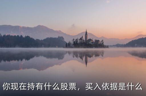張正委持有什么的股票,你現在持有什么股票