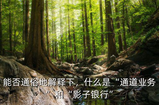 能否通俗地解釋下，什么是“通道業務”和“影子銀行”