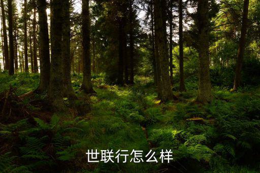 世聯行能給我帶來什么,平凡可以給我們帶來什么
