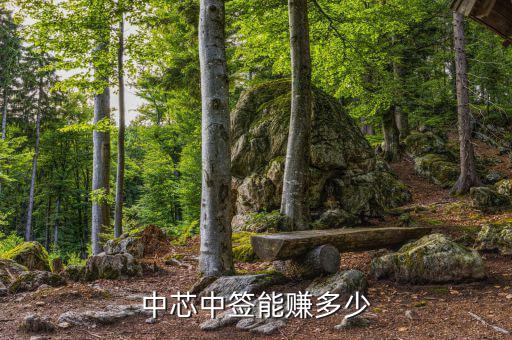 中一個簽能賺多少,股民朋友中一簽能掙多少錢