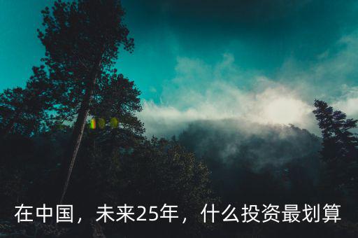 在中國，未來25年，什么投資最劃算