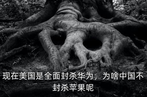現在美國是全面封殺華為，為啥中國不封殺蘋果呢
