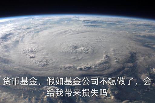 貨幣基金，假如基金公司不想做了，會(huì)給我?guī)?lái)?yè)p失嗎