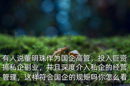 有人說董明珠作為國企高管，投入巨資搞私企副業(yè)，并且深度介入私企的經(jīng)營管理，這樣符合國企的規(guī)矩嗎你怎么看