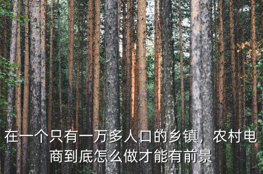 在一個只有一萬多人口的鄉鎮，農村電商到底怎么做才能有前景