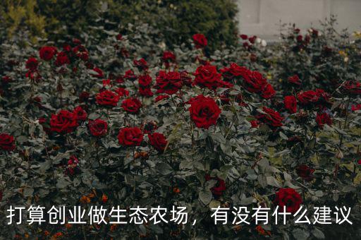 打算創業做生態農場，有沒有什么建議