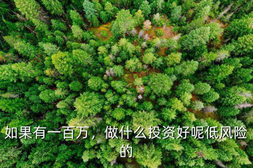 如果有一百萬，做什么投資好呢低風險的