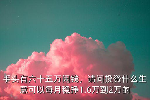 手頭有六十五萬閑錢，請問投資什么生意可以每月穩掙1.6萬到2萬的