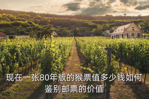 現在一張80年版的猴票值多少錢如何鑒別郵票的價值