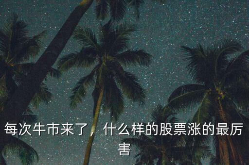 每次牛市來了，什么樣的股票漲的最厲害