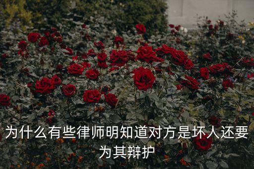 明知道的規定為什么還要犯,為什么狗狗明知道自己犯錯了