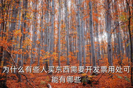 為什么有些人買東西需要開發票用處可能有哪些