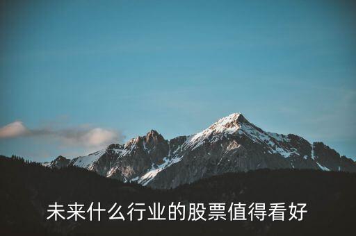 現在買什么行業的股票好,未來什么行業的股票值得看好