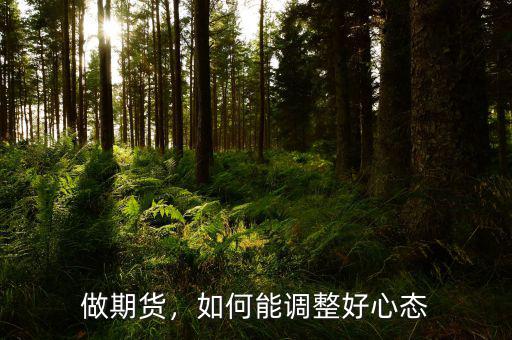 做期貨要有怎么樣的心態,如何能調整好心態