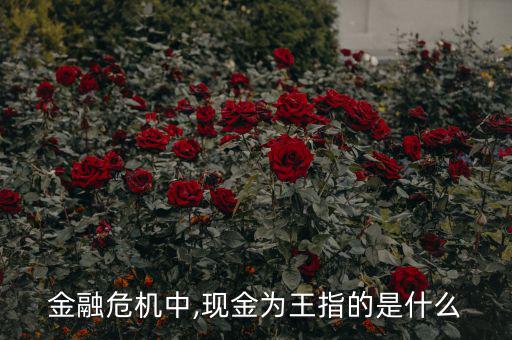金融危機中,現金為王指的是什么