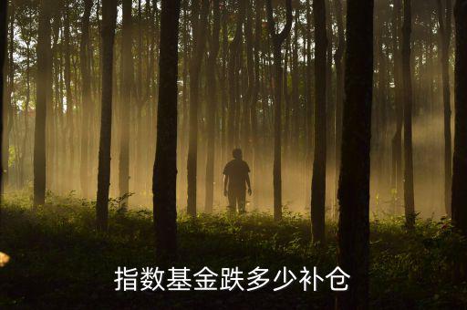 指數基金跌多少補倉