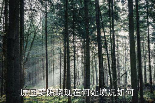 原國美陳曉現在何處境況如何