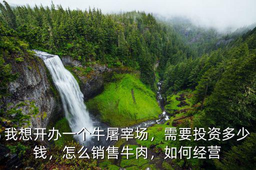 錢牛網怎么賺錢,大家都是怎么賺到錢的