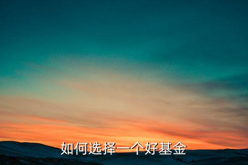 怎么選一只好基金,怎么挑選一只優秀的主動基金