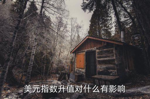 美元指數升值對什么有影響