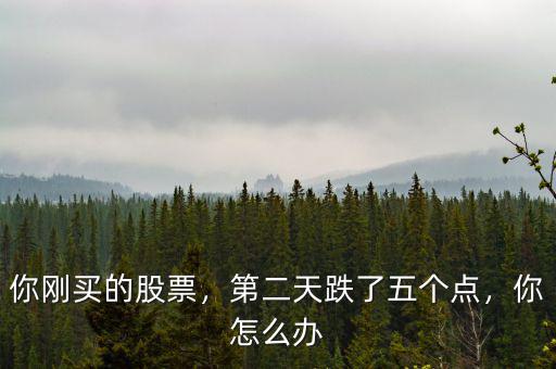 你剛買的股票，第二天跌了五個點，你怎么辦