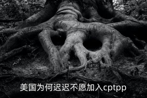 美國為什么不愿中國崛起,中國大力發展高鐵