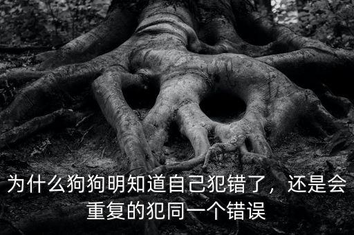 為什么狗狗明知道自己犯錯了，還是會重復的犯同一個錯誤
