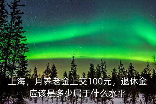 上海，月養老金上交100元，退休金應該是多少屬于什么水平