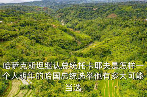 中國總統怎么選,他們怎么選出來的