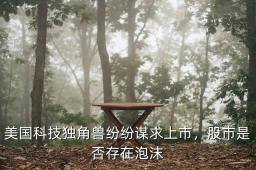 美國科技獨角獸紛紛謀求上市，股市是否存在泡沫
