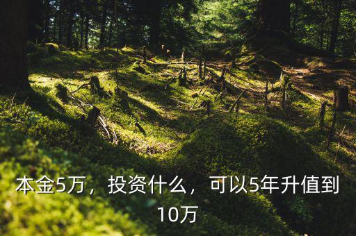本金5萬，投資什么，可以5年升值到10萬