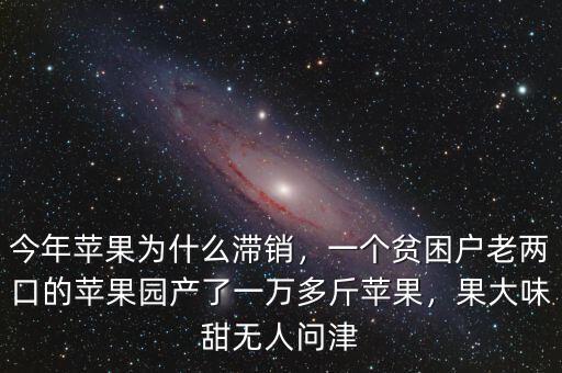 今年蘋果為什么滯銷，一個(gè)貧困戶老兩口的蘋果園產(chǎn)了一萬多斤蘋果，果大味甜無人問津