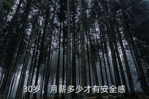 30歲，月薪多少才有安全感