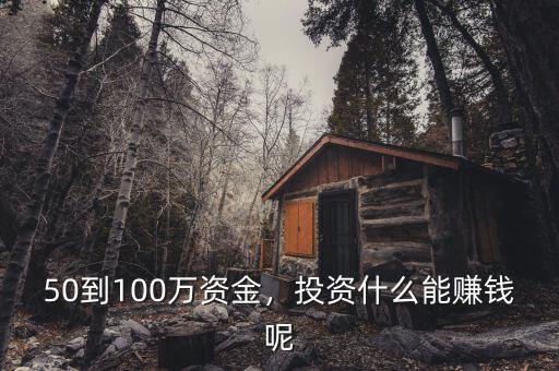 50到100萬資金，投資什么能賺錢呢