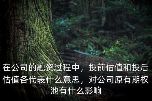 在公司的融資過程中，投前估值和投后估值各代表什么意思，對公司原有期權池有什么影響