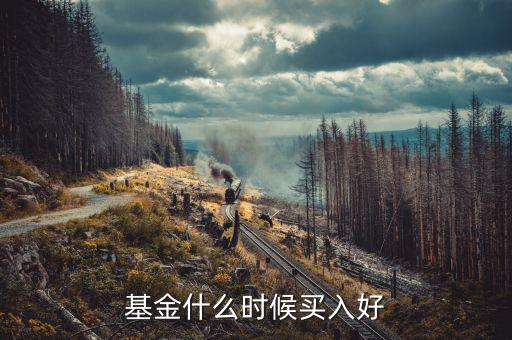 基金發(fā)售首日買(mǎi)入有什么好,基金什么時(shí)候買(mǎi)入好
