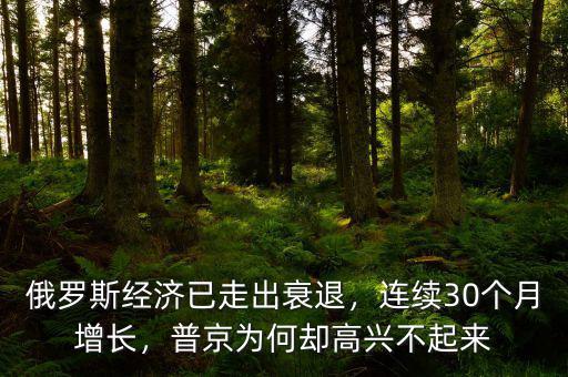俄羅斯經(jīng)濟(jì)已走出衰退，連續(xù)30個(gè)月增長，普京為何卻高興不起來