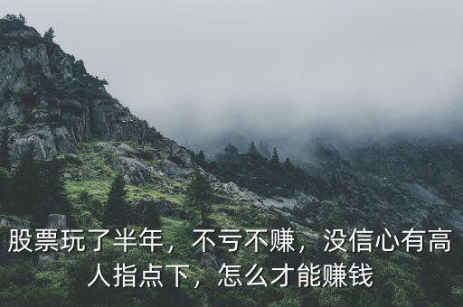 股票玩了半年，不虧不賺，沒信心有高人指點下，怎么才能賺錢