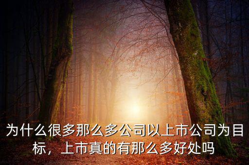 為什么很多那么多公司以上市公司為目標，上市真的有那么多好處嗎