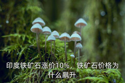 印度鐵礦石漲價10%，鐵礦石價格為什么飆升