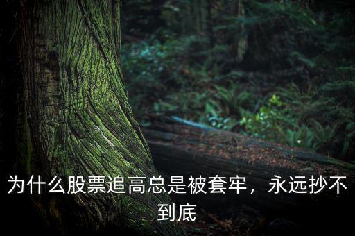 為什么股票追高總是被套牢，永遠抄不到底