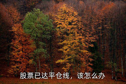 股票已達平倉線，該怎么辦