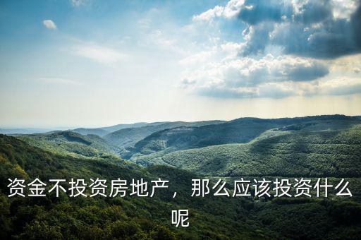 資金不投資房地產，那么應該投資什么呢