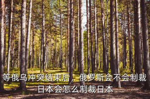 等俄烏沖突結束后，俄羅斯會不會制裁日本會怎么制裁日本