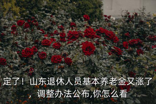 定了！山東退休人員基本養老金又漲了，調整辦法公布,你怎么看