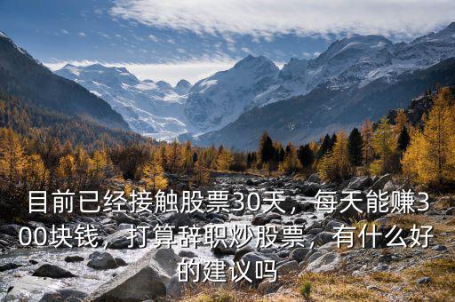 目前已經接觸股票30天，每天能賺300塊錢，打算辭職炒股票，有什么好的建議嗎