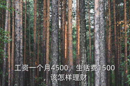 工資一個月4500，生活費1500，該怎樣理財