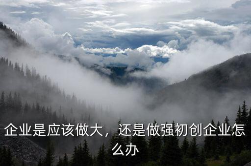 企業(yè)是應該做大，還是做強初創(chuàng)企業(yè)怎么辦