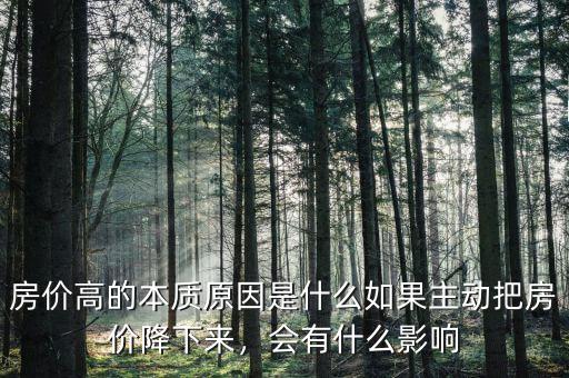 房價高的本質原因是什么如果主動把房價降下來，會有什么影響